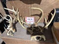 4 – deer antlers