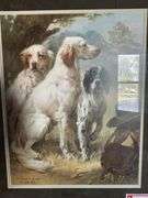 English setter picture