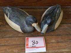 2 – bluebell, decoy, ducks