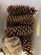 3 - totes and pinecones