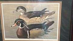 4 – duck prints