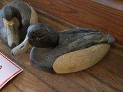 2 – bluebell, decoy, ducks