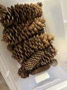 3 - totes and pinecones