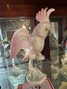 Brad Keeler Bird Cockatoo