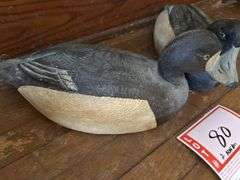 2 – bluebell, decoy, ducks