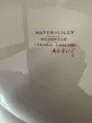 Wedgewood Water-Lily plate and a frog
