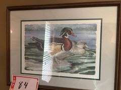 Duck picture