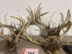 4 – deer antlers