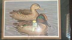 4 – duck prints