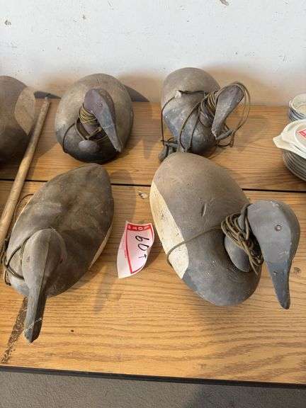 Duck decoys