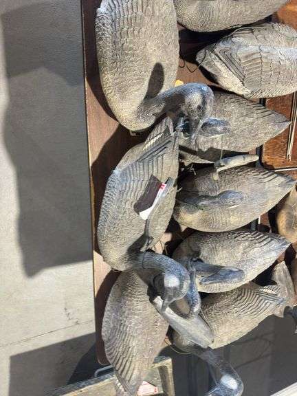 Goose decoys
