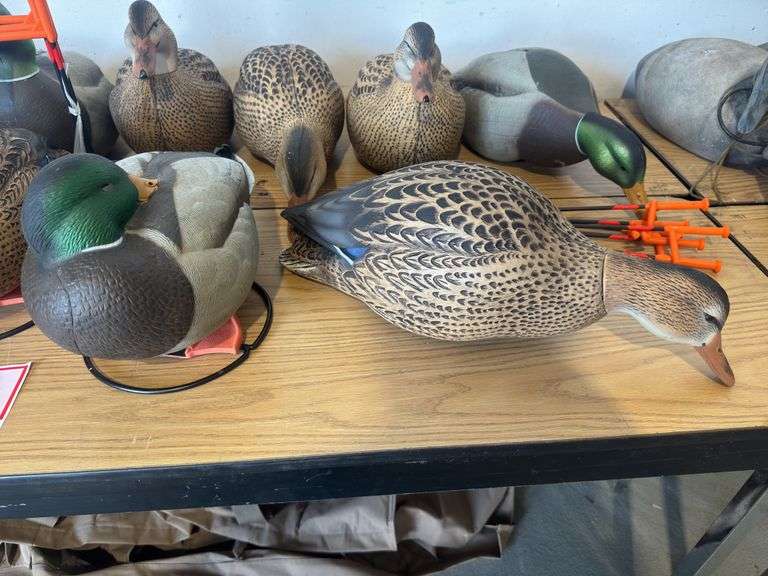 Duck decoys