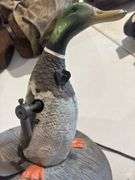 Battery operated decoy