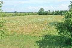 1512 County Road 90 Gibsonburg, OH 43431