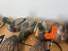 Duck decoys