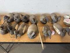 Duck decoys