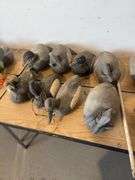 Duck decoys