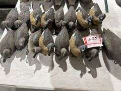 Duck decoys