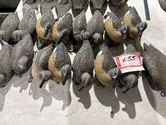 Duck decoys