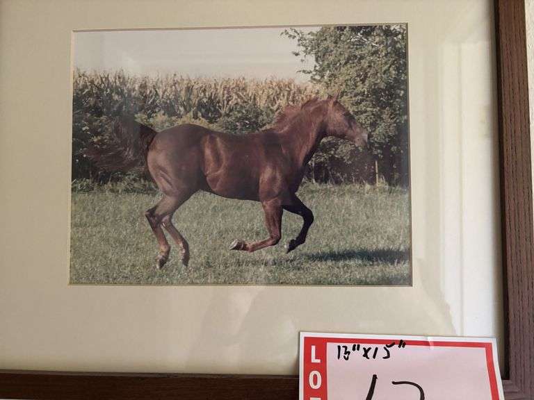 Picture, horse, 13 x 15”