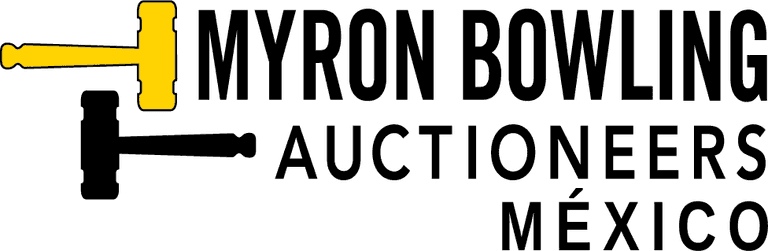 SUBASTA PÚBLICA POR INTERNET DE ACTIVOS WALMART SEW THU 13/11/25 - J392