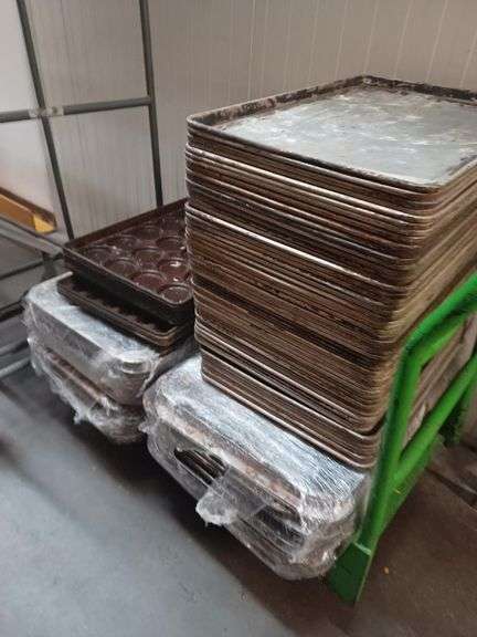 3 Racks (Incompleto/Dañado), 4 Botadero (Incompleto/Dañado), 40 Charolas de diferentes maneras (Inco