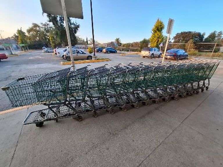 18 Carritos de autoservicio (Incompleto/Dañado), 1 ANDAMIO CHICO ANGOSTO FRENO ESCALON (Incompleto/D