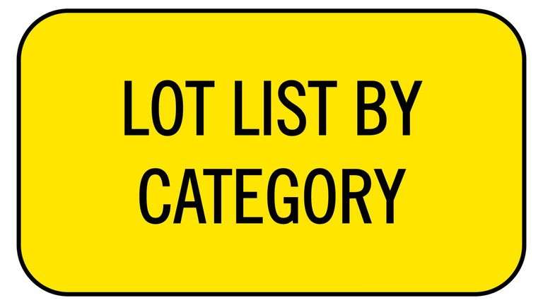 LOT LIST BY CATEGORY
