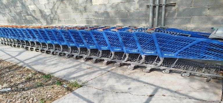 (Pago antes del 7 de enero y remoción hasta el 9 de enero) 65 CARRITO DE PLASTICO AUTOSERVICIO (Inco