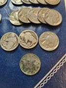 V, 48  Buffalo 39 Jeff 5 War Nickels- Empty Folder