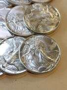 20 Pcs 1988 1oz $1 Silver Eagle Unc