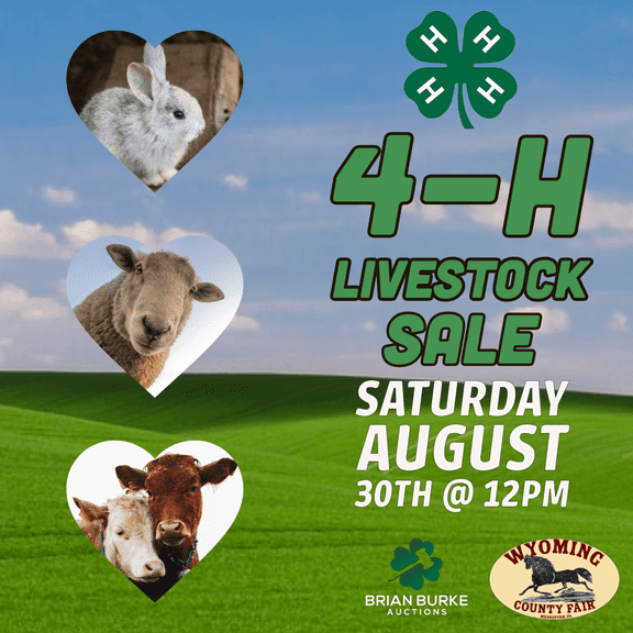 Wyoming County 4-H Livestock Sale