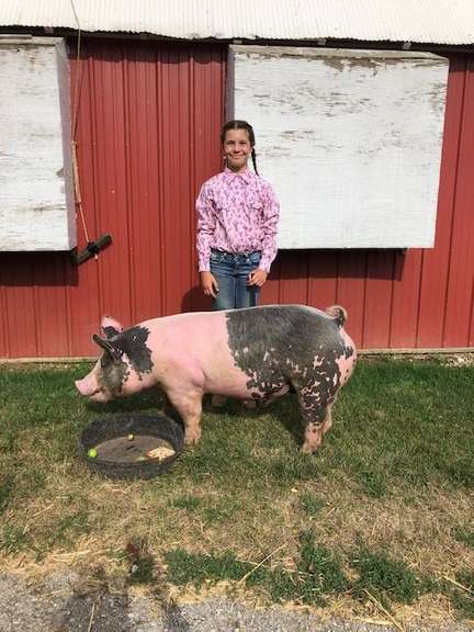 Piper Schultz Dayton Clover 4-H Club