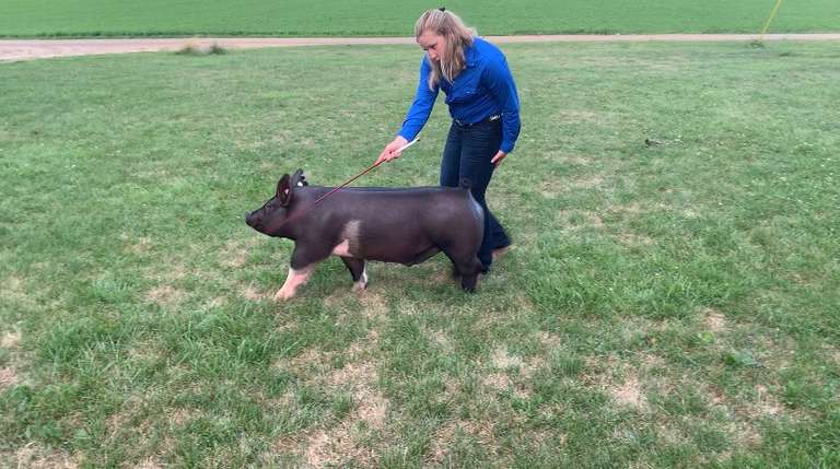 Zoe van Rijn 5 Star Livestock 4-H Club