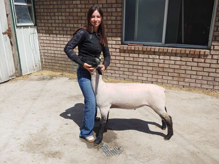 Violet Teneyuque Barn Buddies 4-H Club