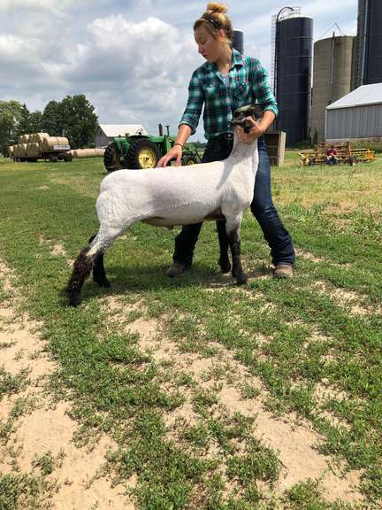 Mekenzie Bennett Dayton Clover 4-H Club