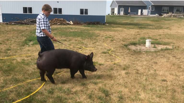 Luke Joslyn Northern Lights 4-H Club