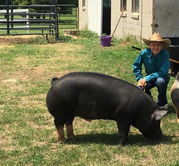 Jonathon Hoard Thumb Area Kids & Critters 4-H Club