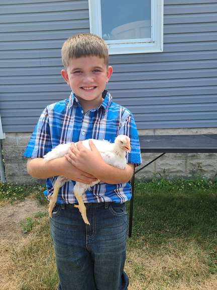Weston Conrad Margaretta Livestock