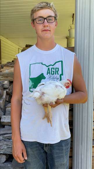 Nathan  Miller Margaretta Livestock
