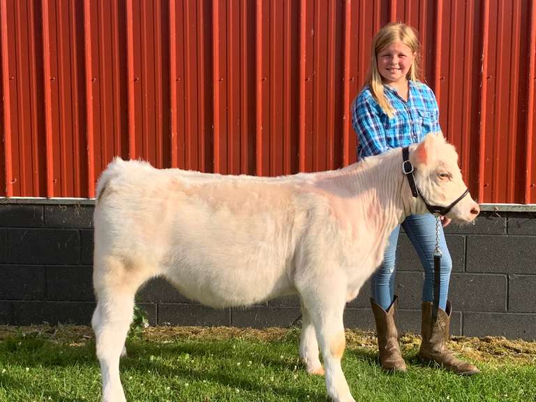 Tayler  Sessler Margaretta Livestock
