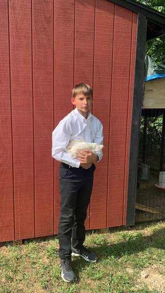 Ethan Thayer Margaretta Livestock