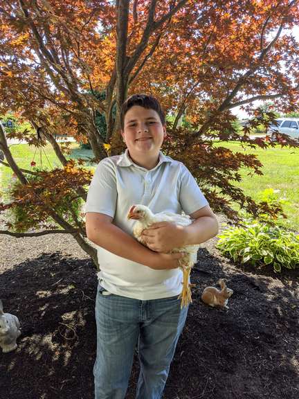 Mason Yetter Margaretta Livestock
