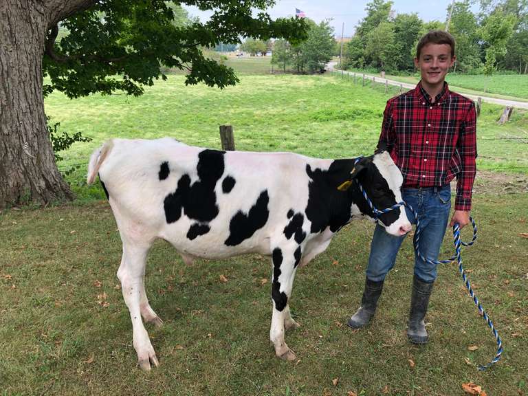 Karl  Kromer Country Cousins