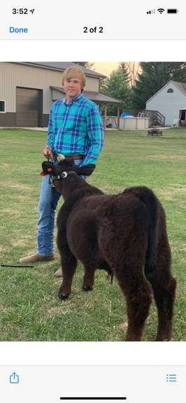 JT Patrick Margaretta FFA