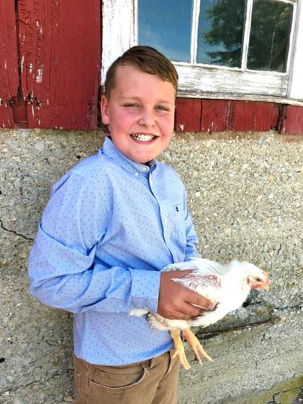 Cannon Berger Margaretta Livestock