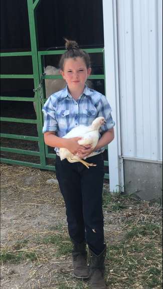 Ellie  Pooch Margaretta Livestock