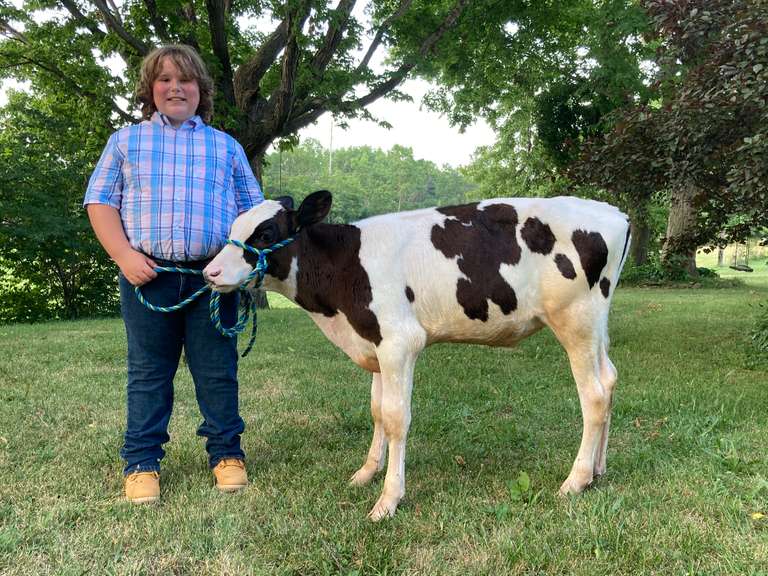 Aaron Solet Country Cousins