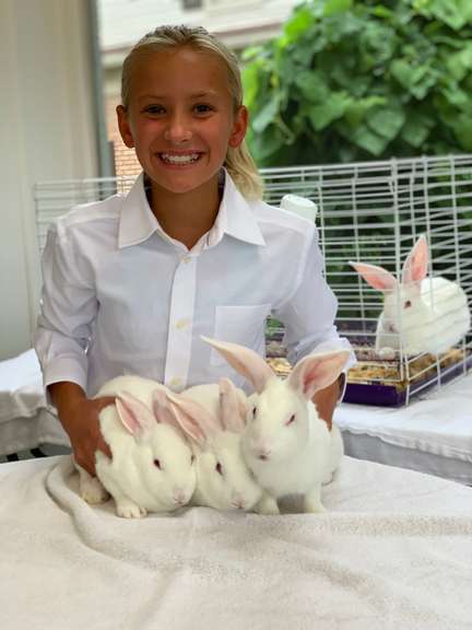 Madison DenBesten Lucky Clovers
