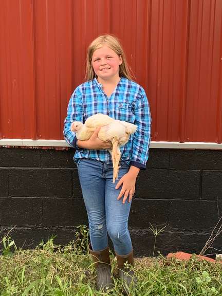 Tayler Sessler Margaretta Livestock